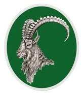GB Scouts logo